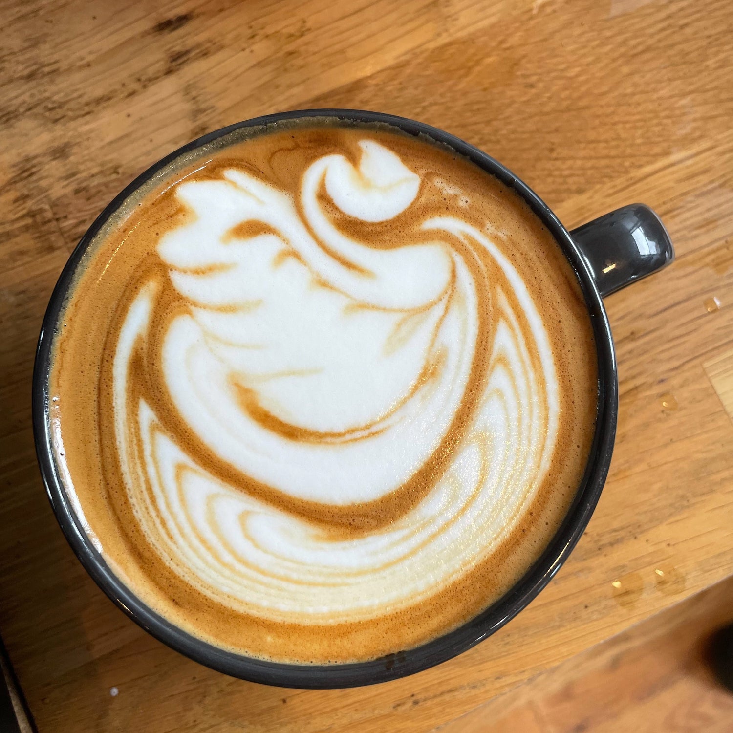 Latte Art Intro class nyc swan
