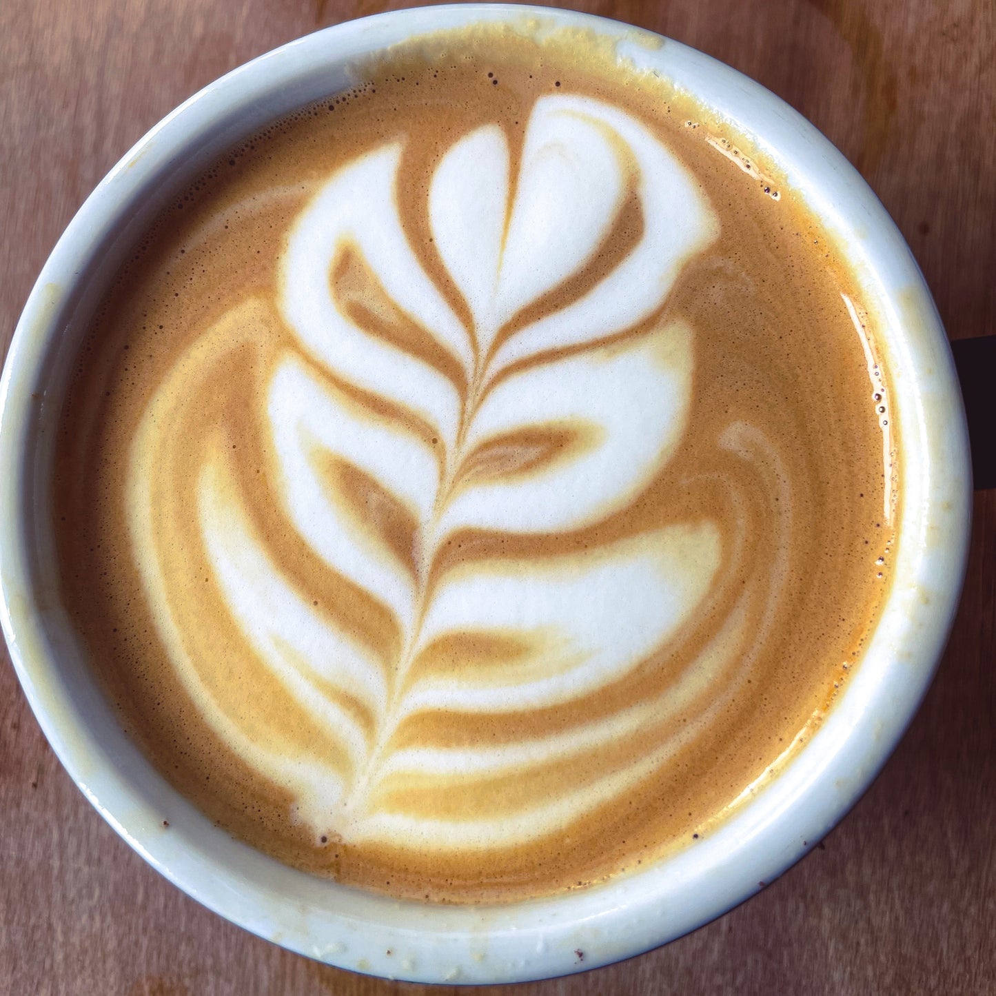 barista basics procreate coffee latte art